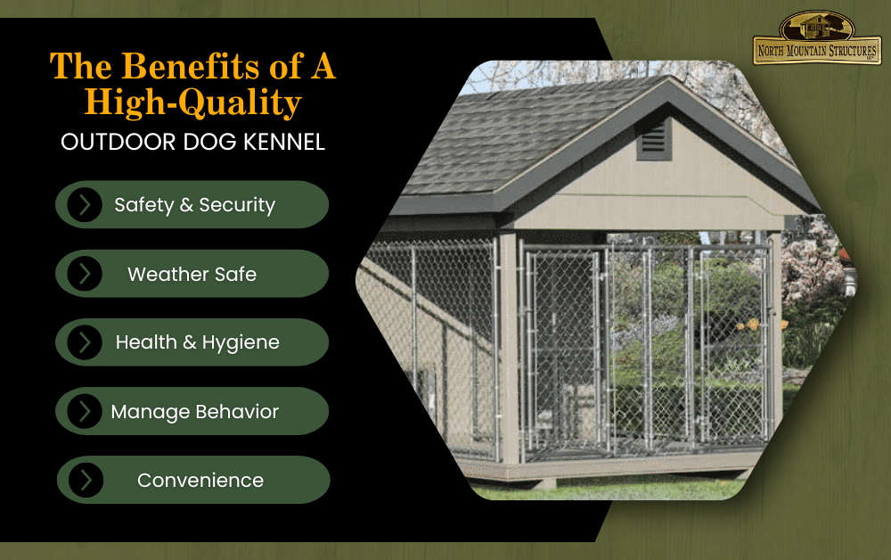 Outdoor Dog Kennel Infographic